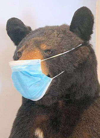 bear at woodford